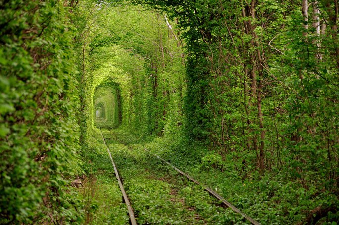 Tunnel-of-Love-Ukraine
